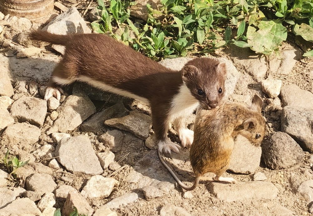 Photograph by Кристина Рыбина