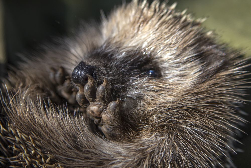 Photograph by Татьяна Феденкова