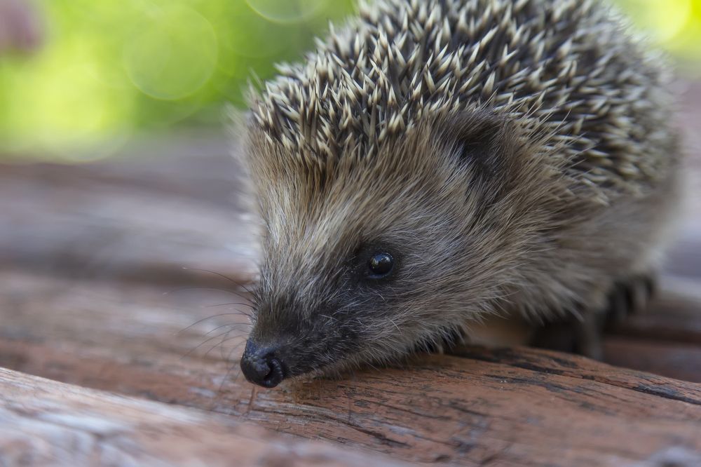 Photograph by Татьяна Феденкова