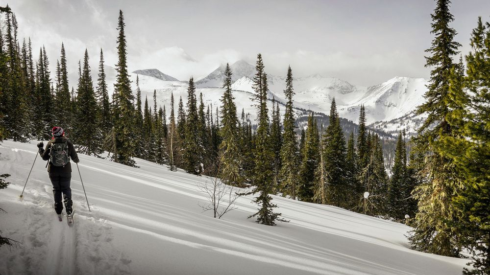 Фотография автора Татьяна Добровольская
