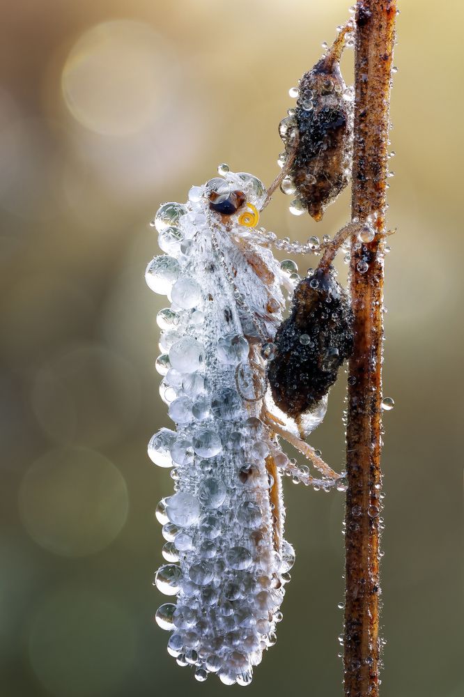 Photograph by Кузнецов Дмитрий