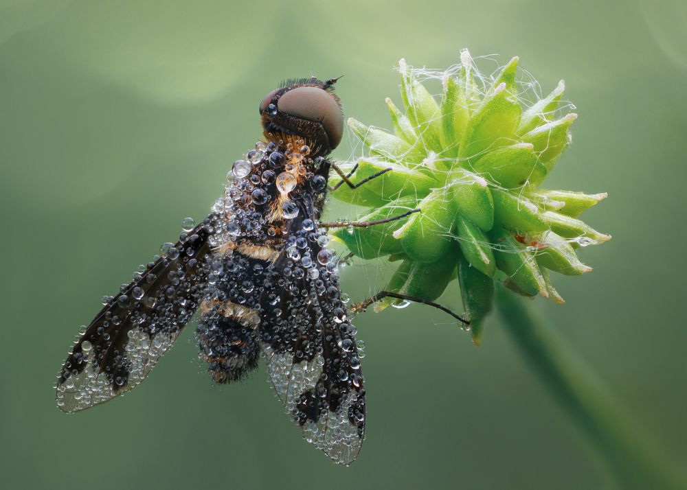 Photograph by Кузнецов Дмитрий