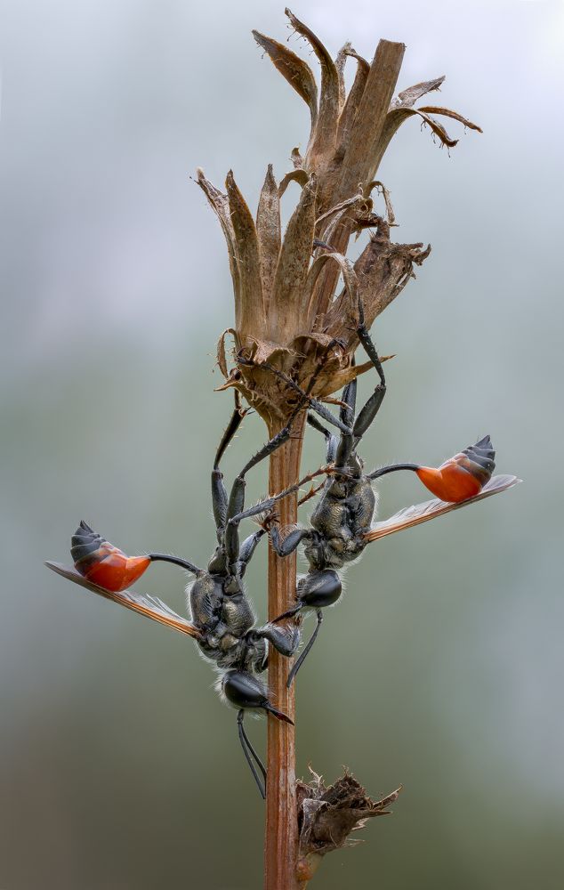 Photograph by Кузнецов Дмитрий