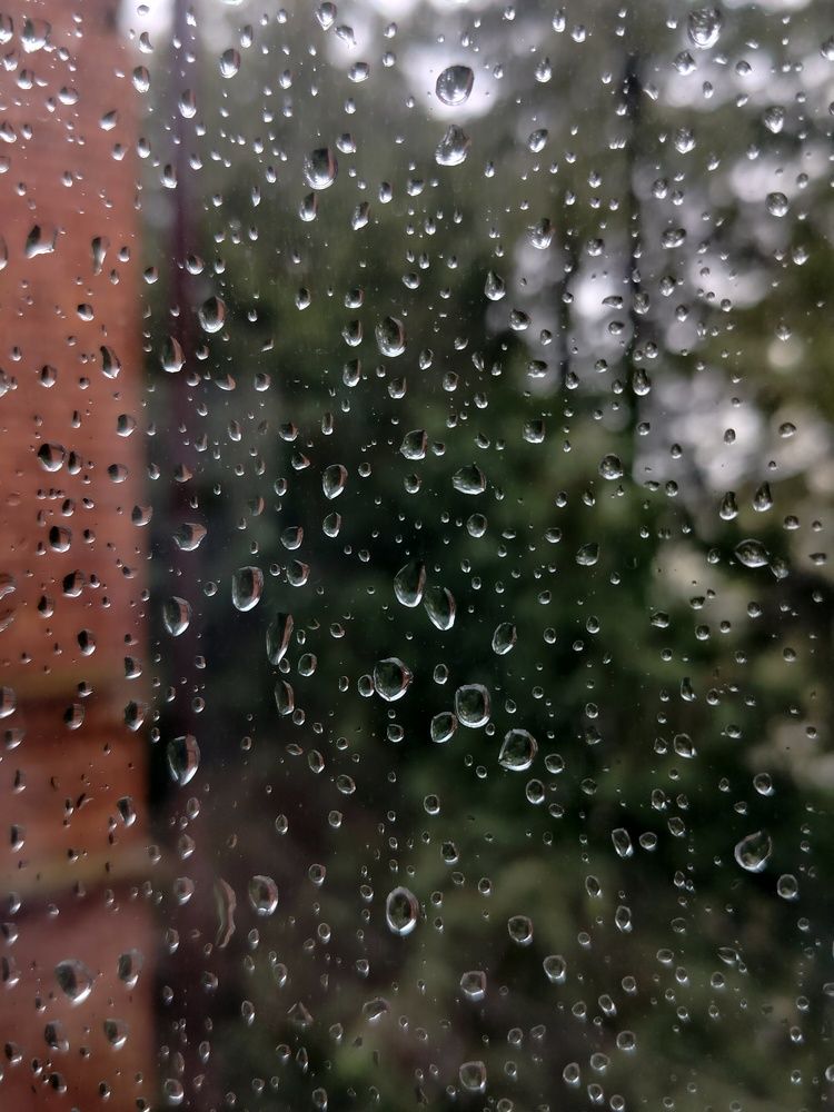 Фотография автора Алина Фирсова