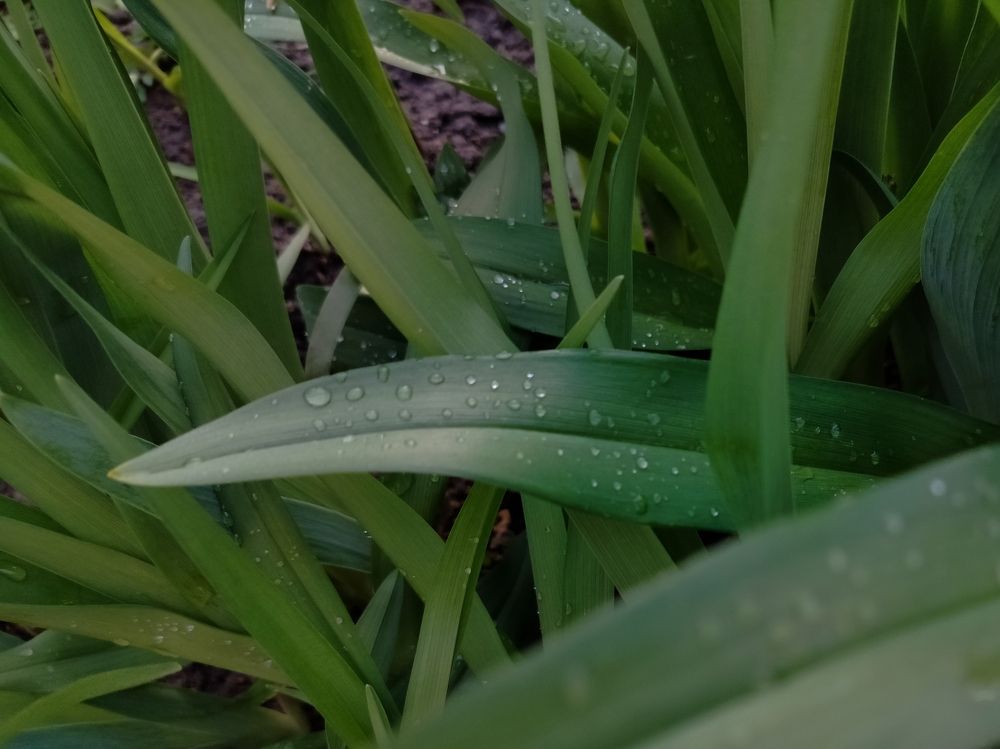 Фотография автора Алина Фирсова