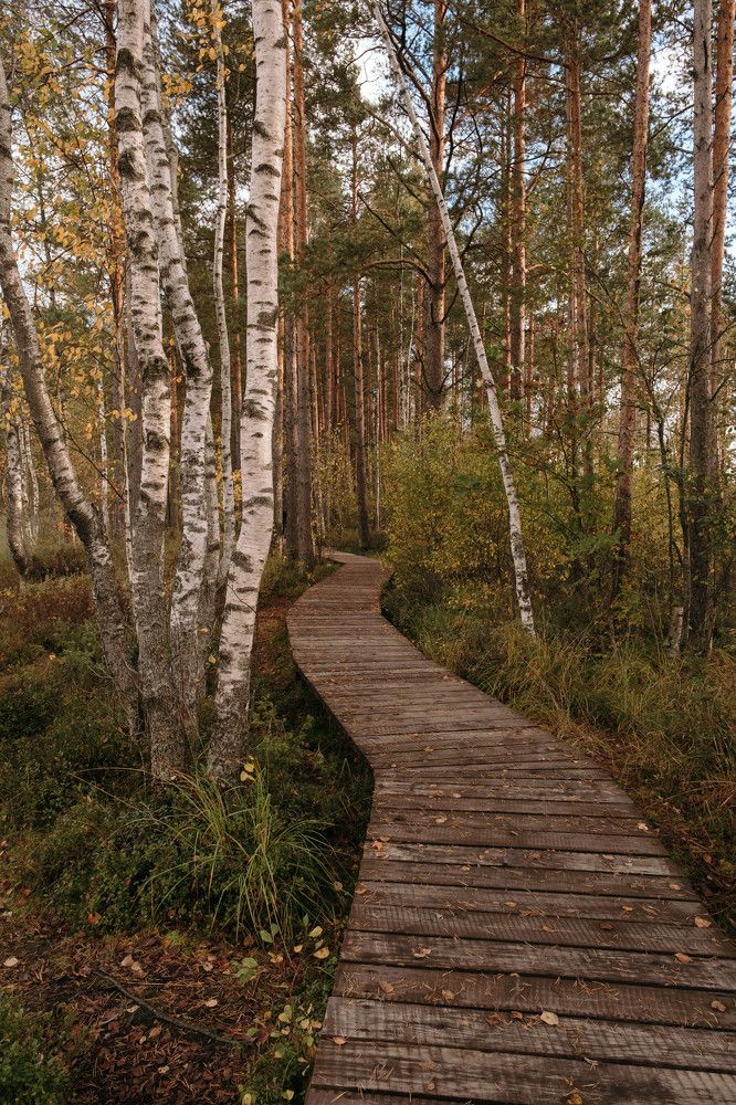 Photograph by Наталья Деменкова