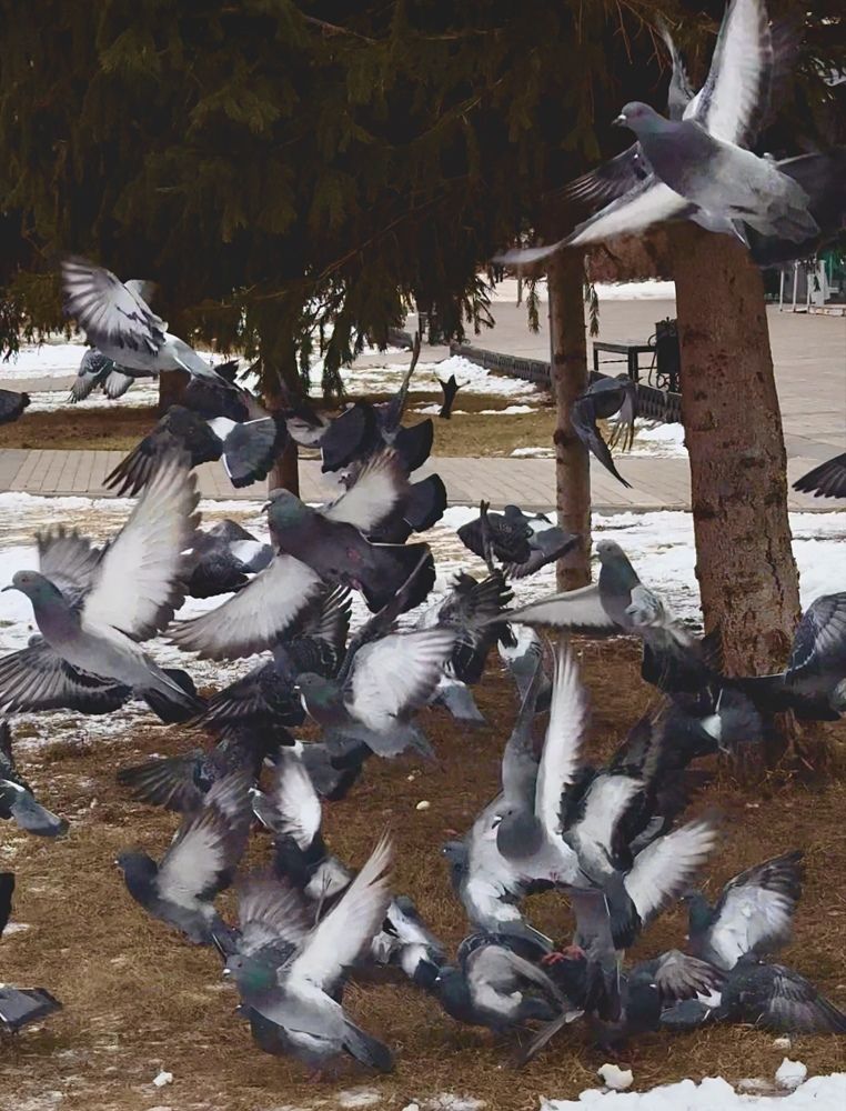 Photograph by Лилия Нуриева