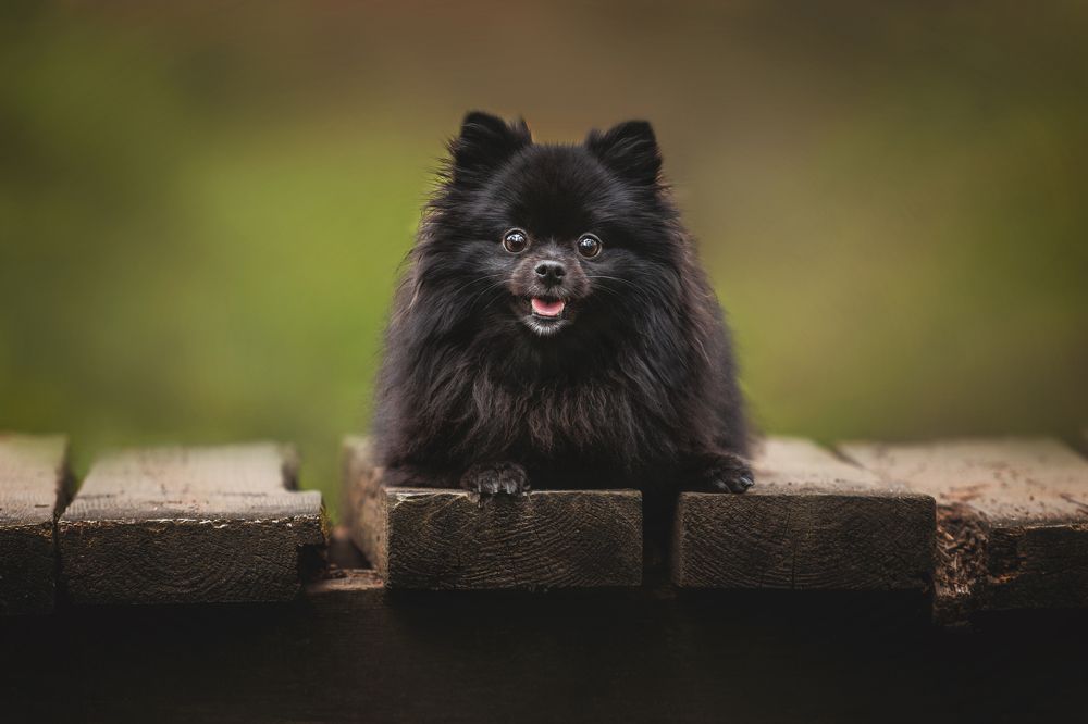 Photograph by Яна Нарбутович