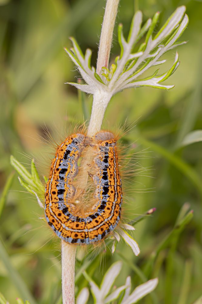 Photograph by Бурикова Екатерина