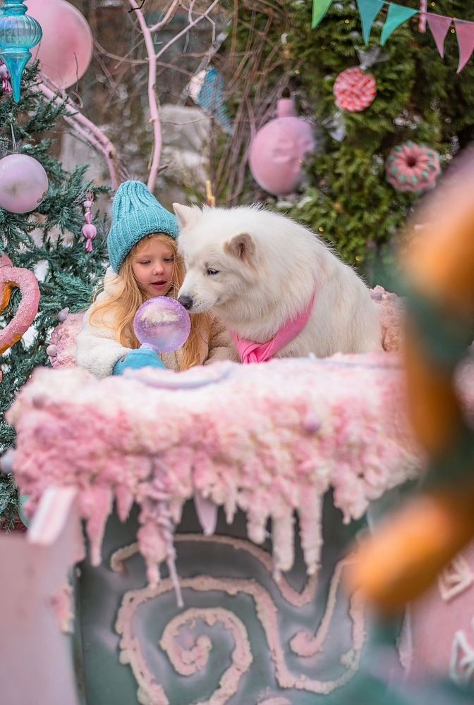 Фотография автора Елена Буглеева