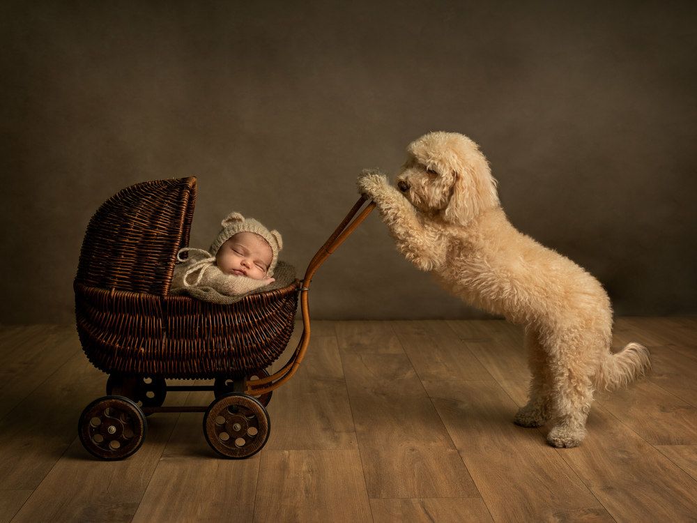 Photograph by Mònica Udina