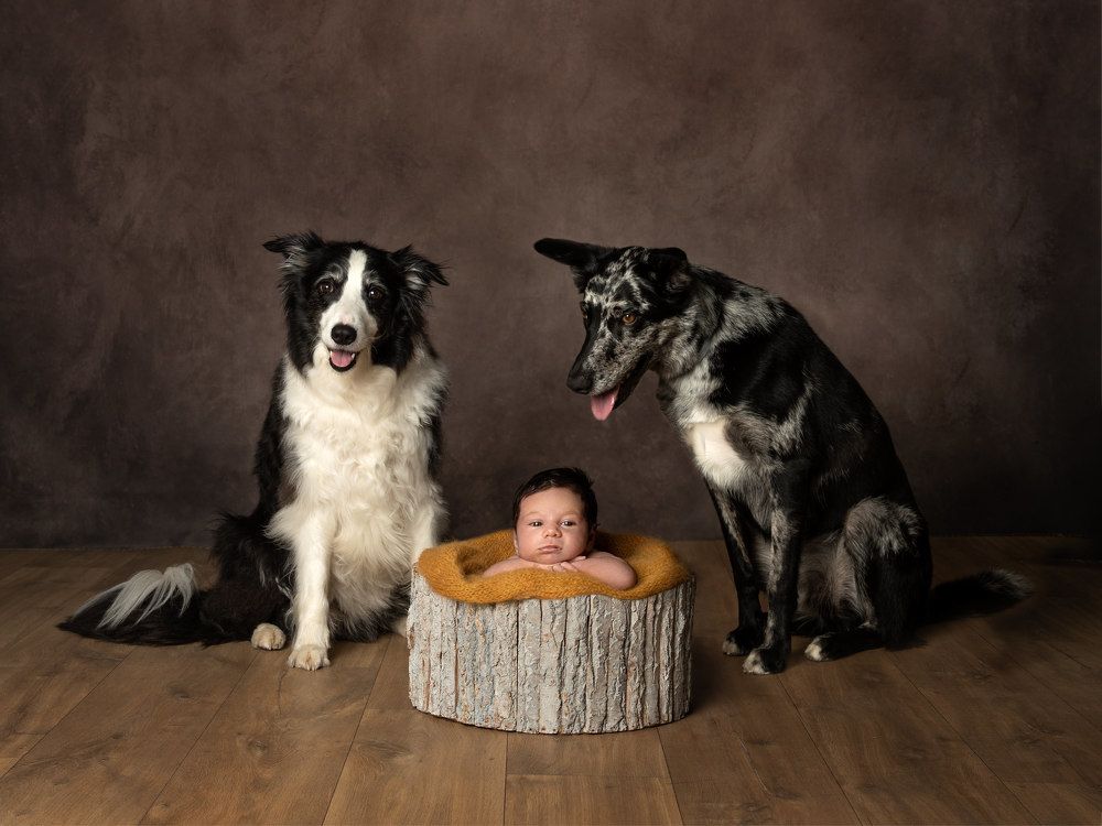 Photograph by Mònica Udina