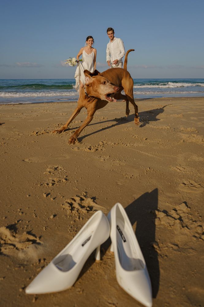 Photograph by Александр Кучерявый