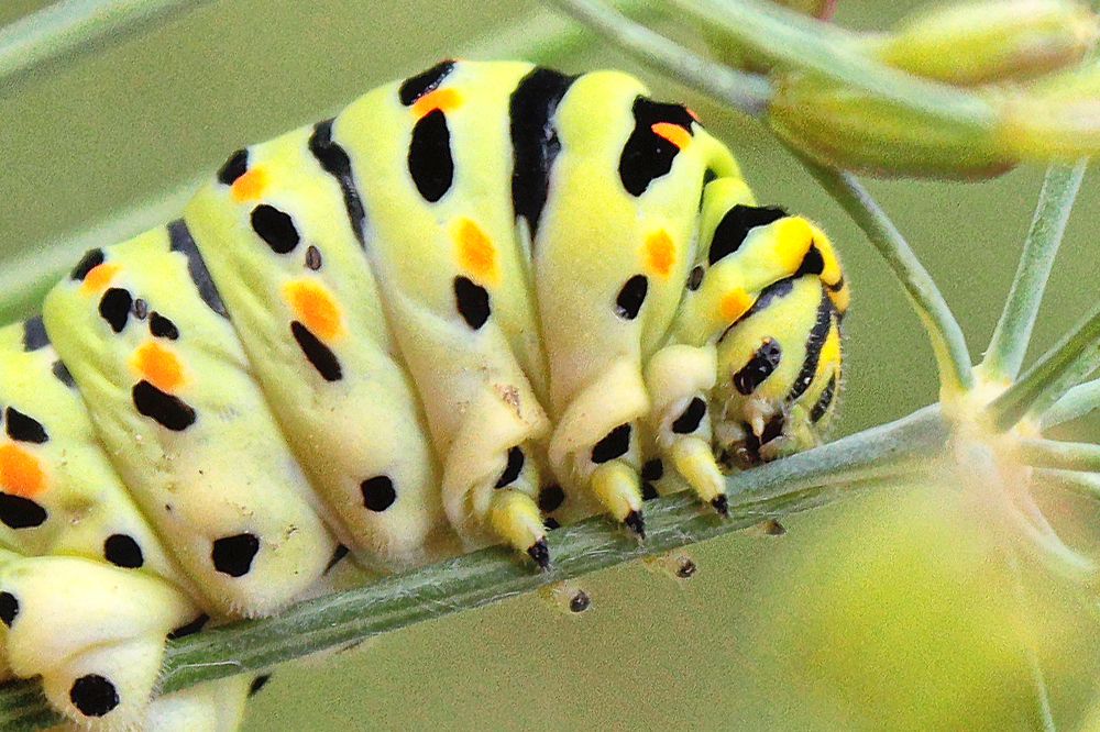 Photograph by Vitaliy Saposhnikov