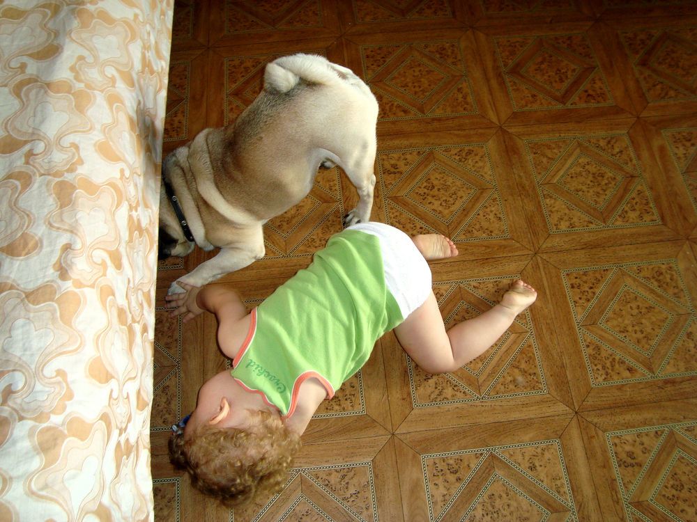 Photograph by Мишустина Татьяна