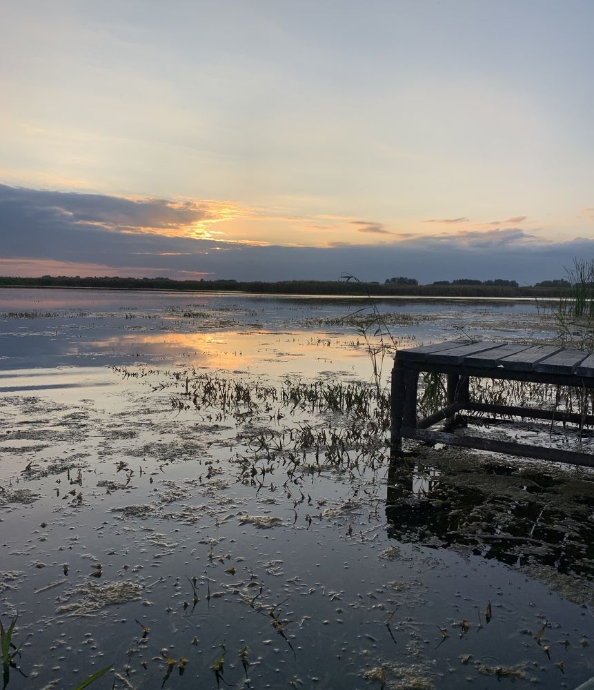 Фотография автора Дмитрий Грехов