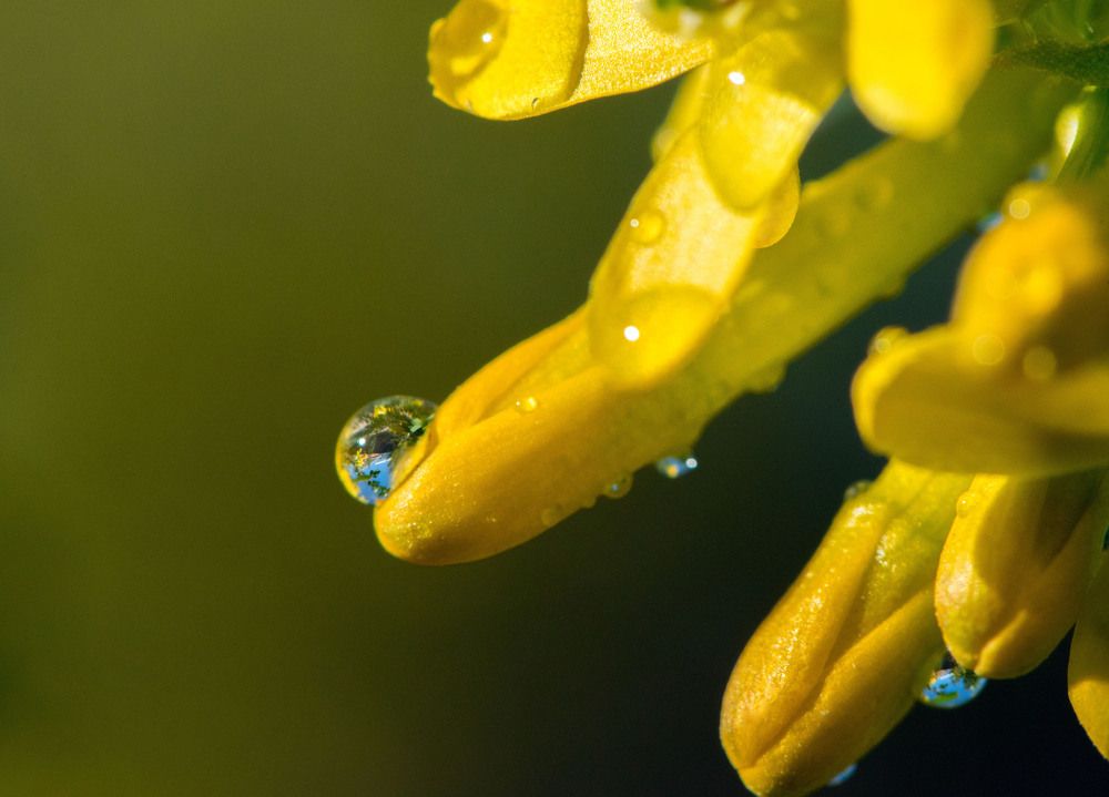 Photograph by Римма Волченко