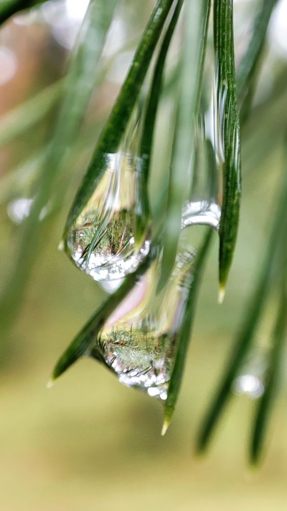 Photograph by Марина Артемьева