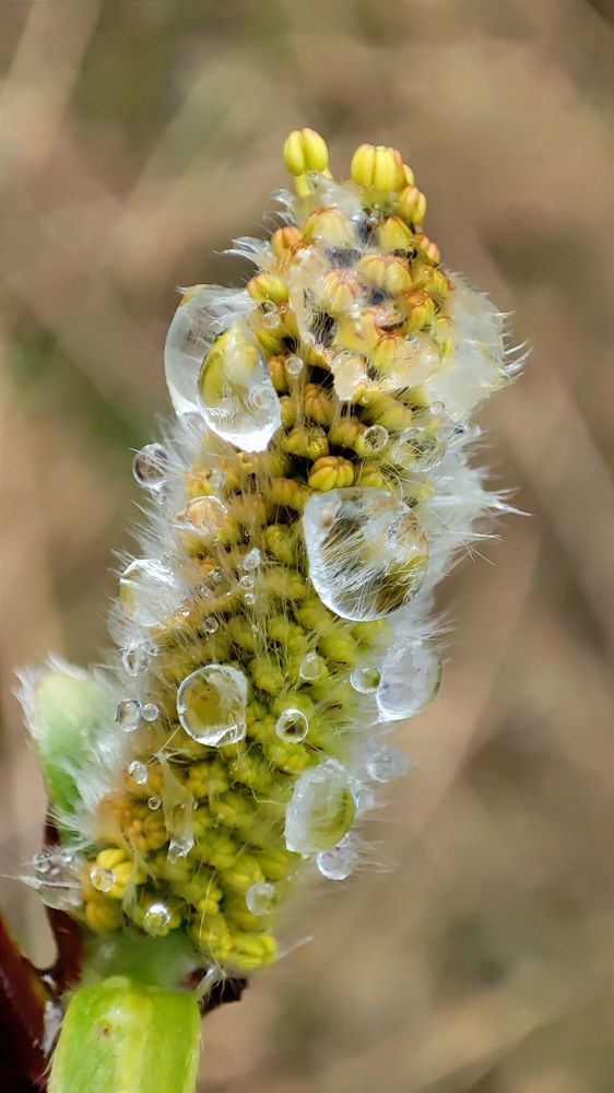 Photograph by Марина Артемьева