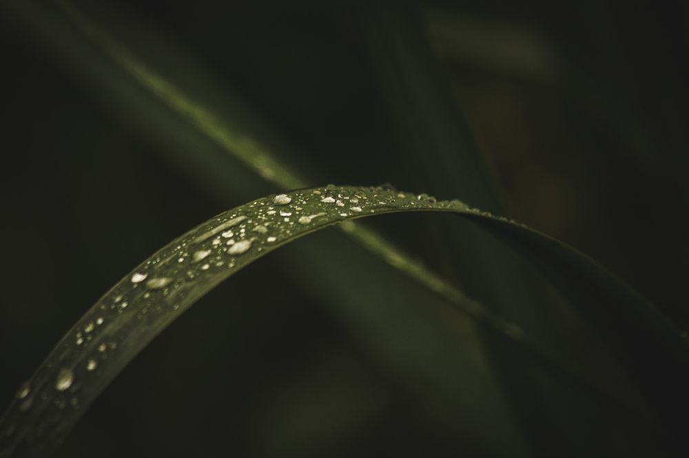 Photograph by Евгений Авдеев