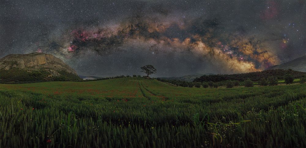 Фотография автора Rafael Roldan Nofuentes