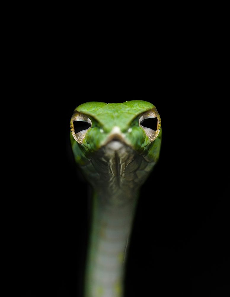 Photograph by George S George