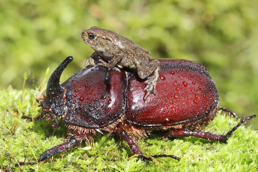 Photograph by Сергей Маслов