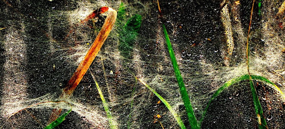 Photograph by Жанна Нечаева