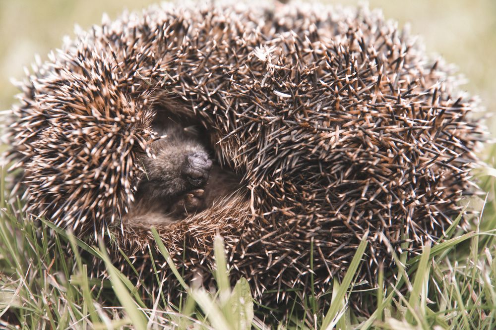 Photograph by Ольга Ильина