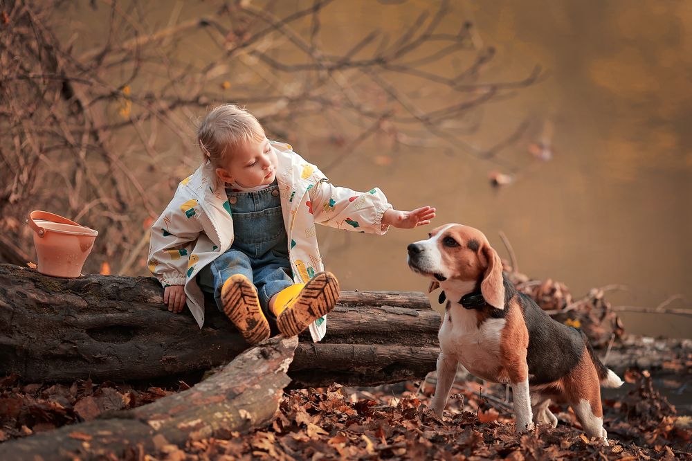 Photograph by Гаврильцова Светлана