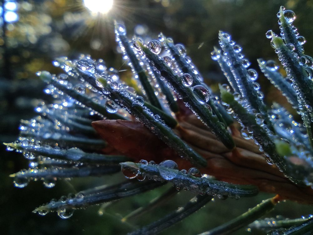 Photograph by PERESHEIN ANDREY