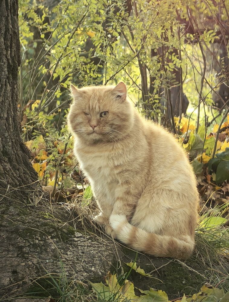 Photograph by Кристина Рыбина