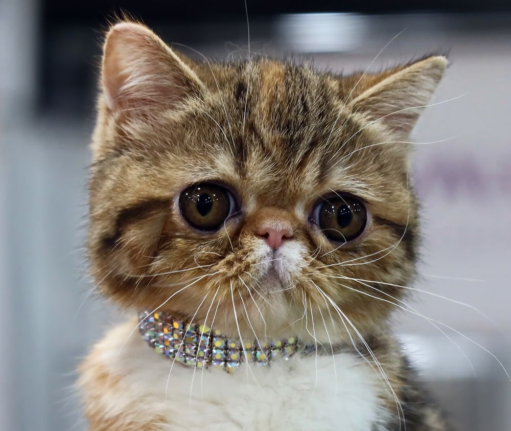 Photograph by Сергей Маслов