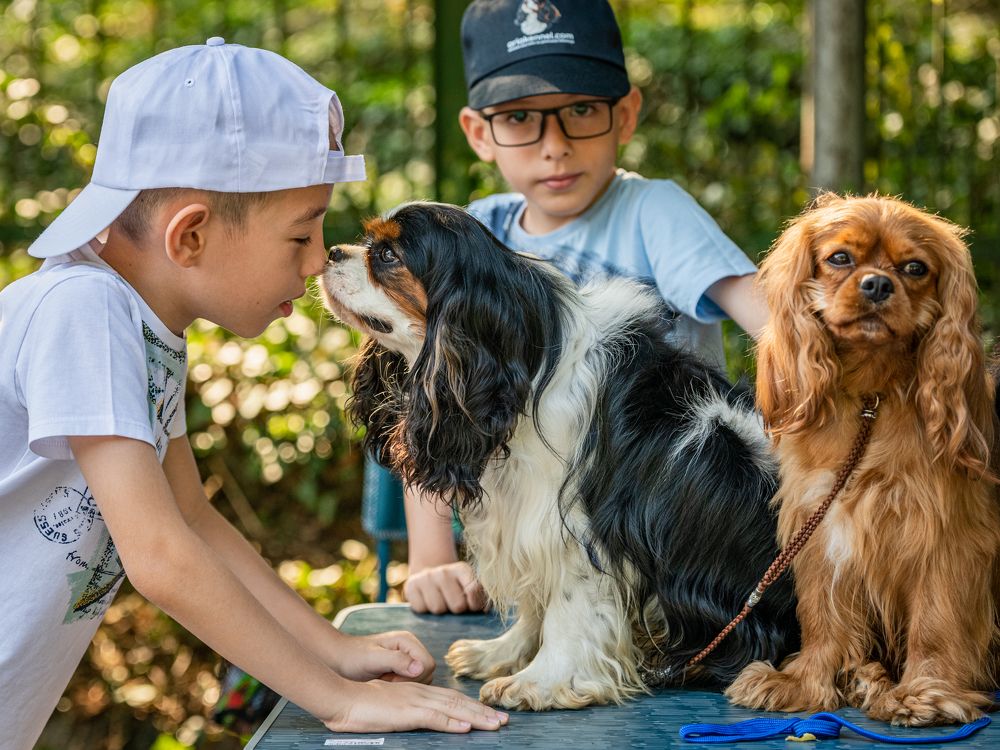 Фотография автора Елена Караилиева