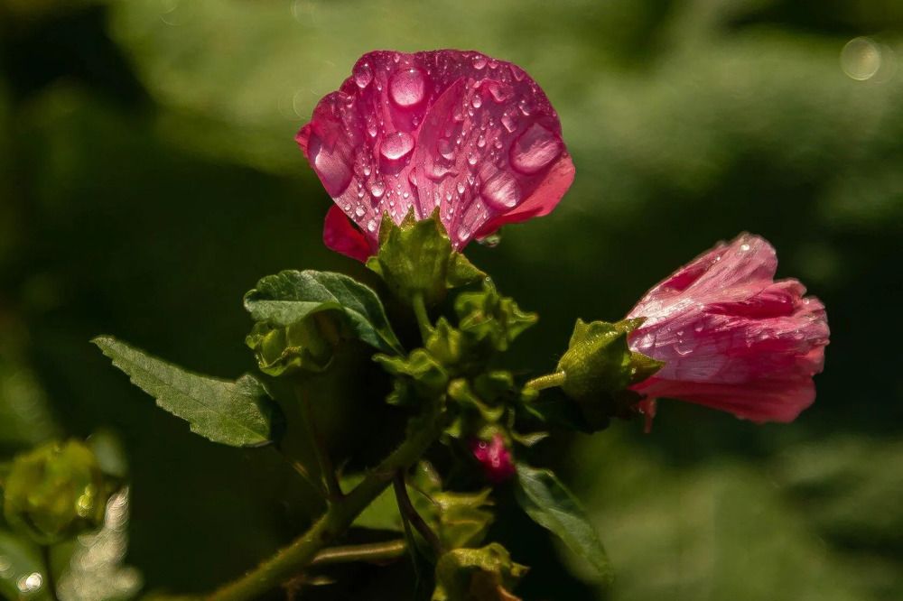 Photograph by Юрий Десятов