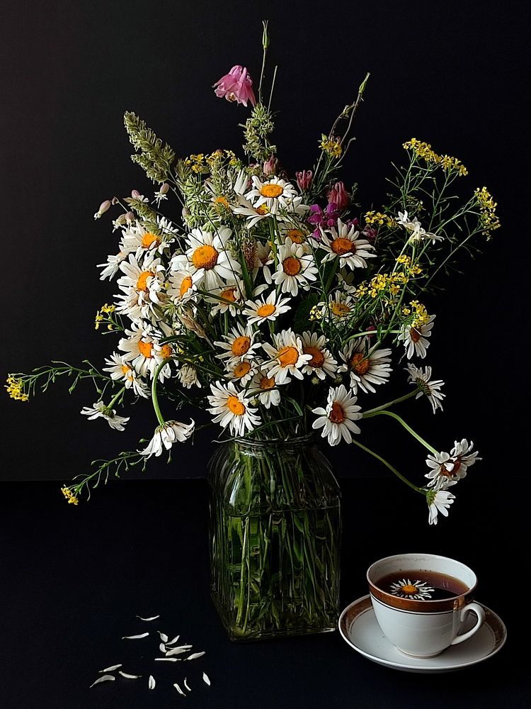 Photograph by Galina Novichkova