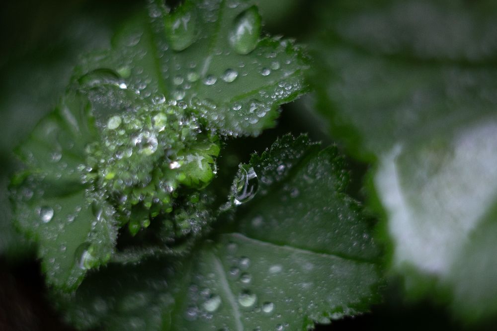 Photograph by Анастасия Павлова