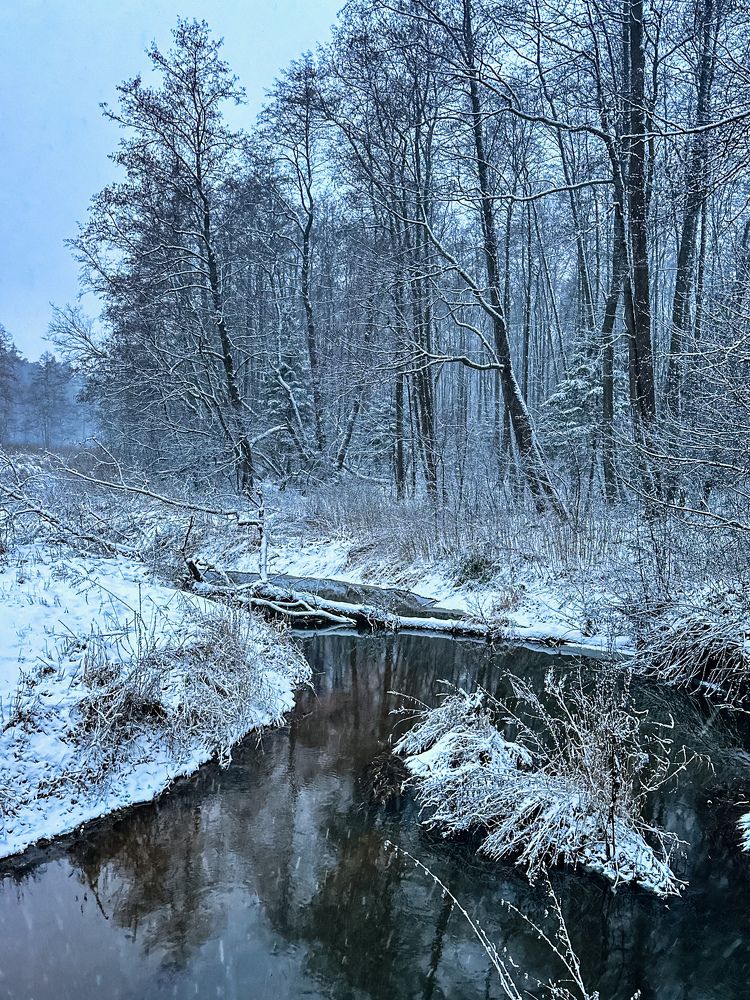 Речка Пружонка, городской округ Черноголовка