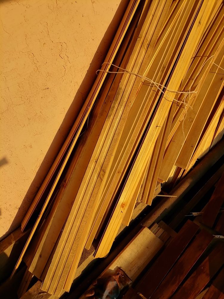 Photo #11477570