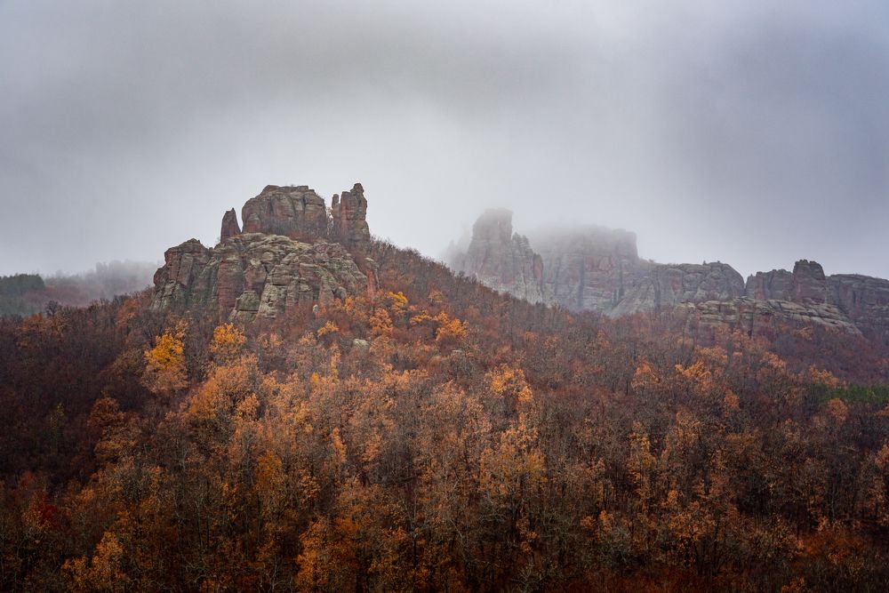 Фотография автора Елена Караилиева