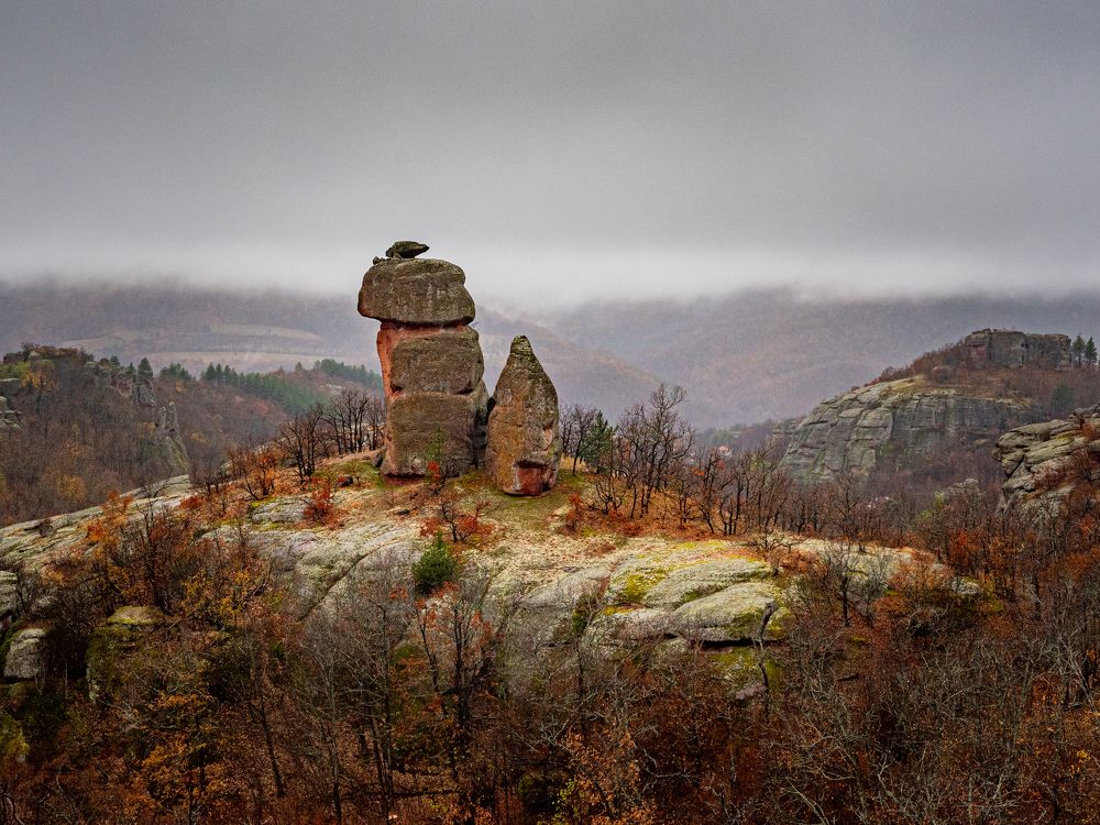 Фотография автора Елена Караилиева