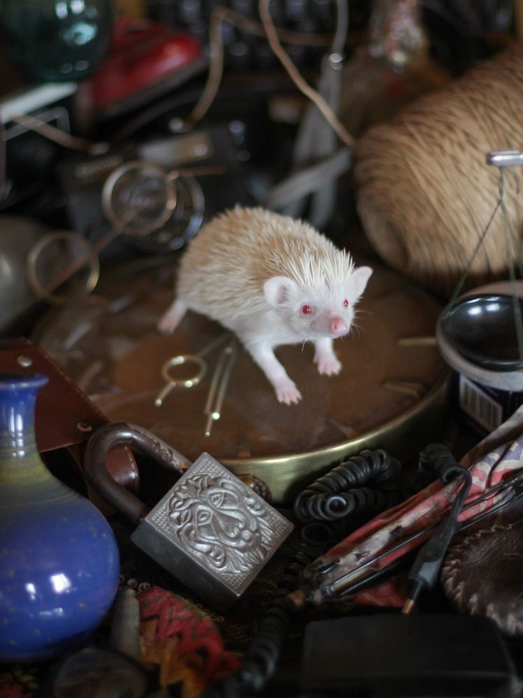 Глазки-бусенки