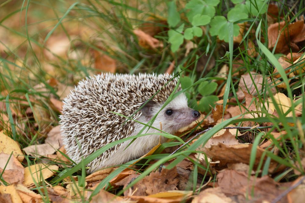 Фотография автора Анастасия Руднева
