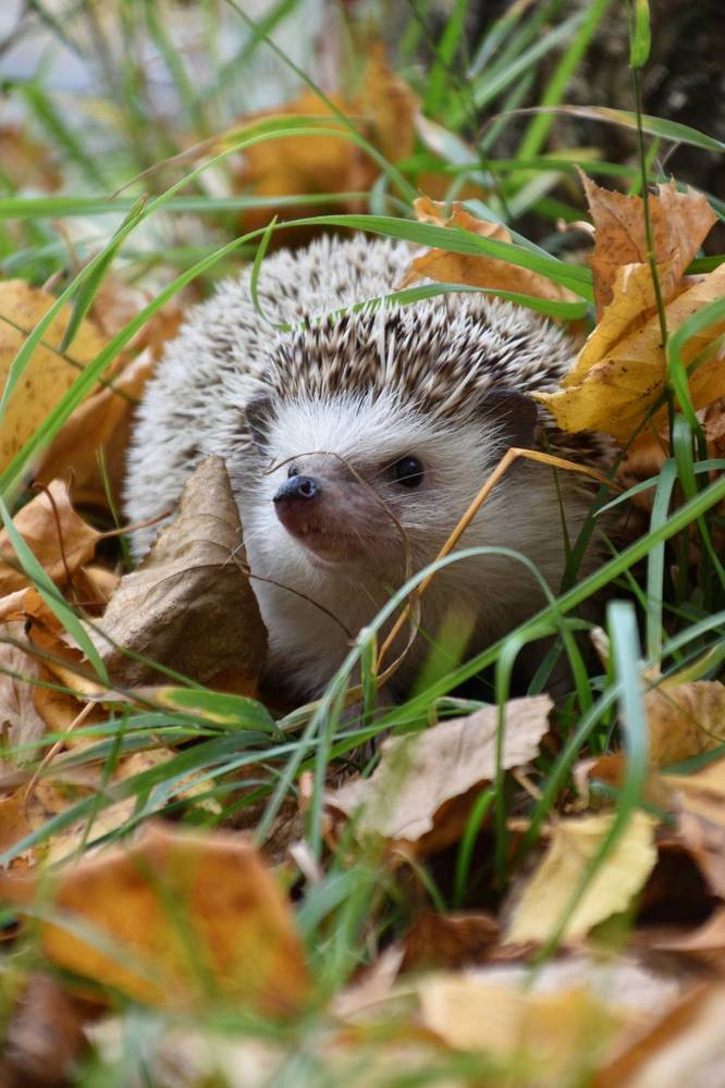 Photograph by Анастасия Руднева