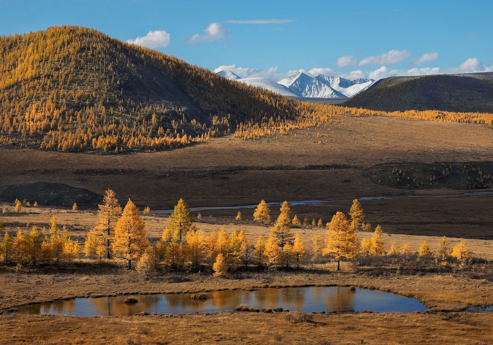 Photograph by Александр Попов