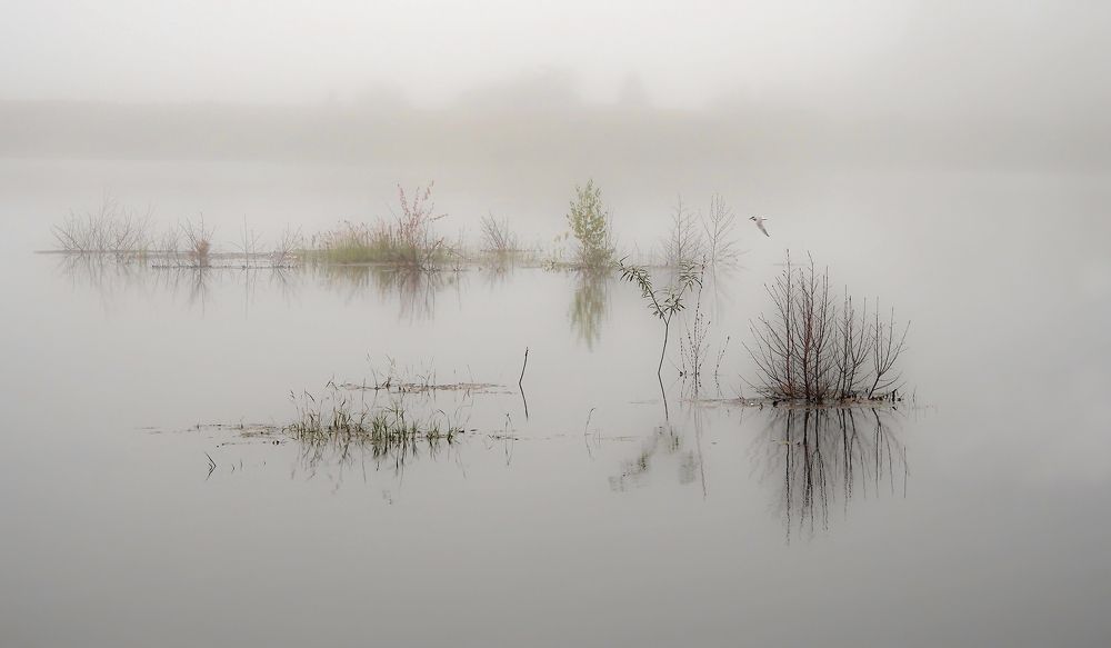 Photograph by Александр Попов