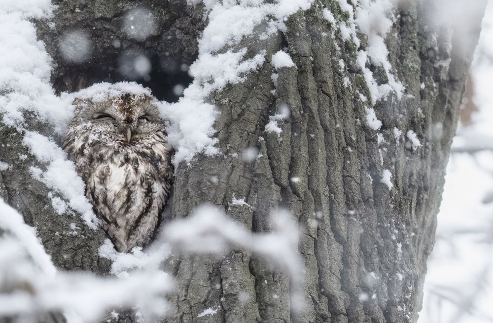 Photograph by Tímea Ambrus