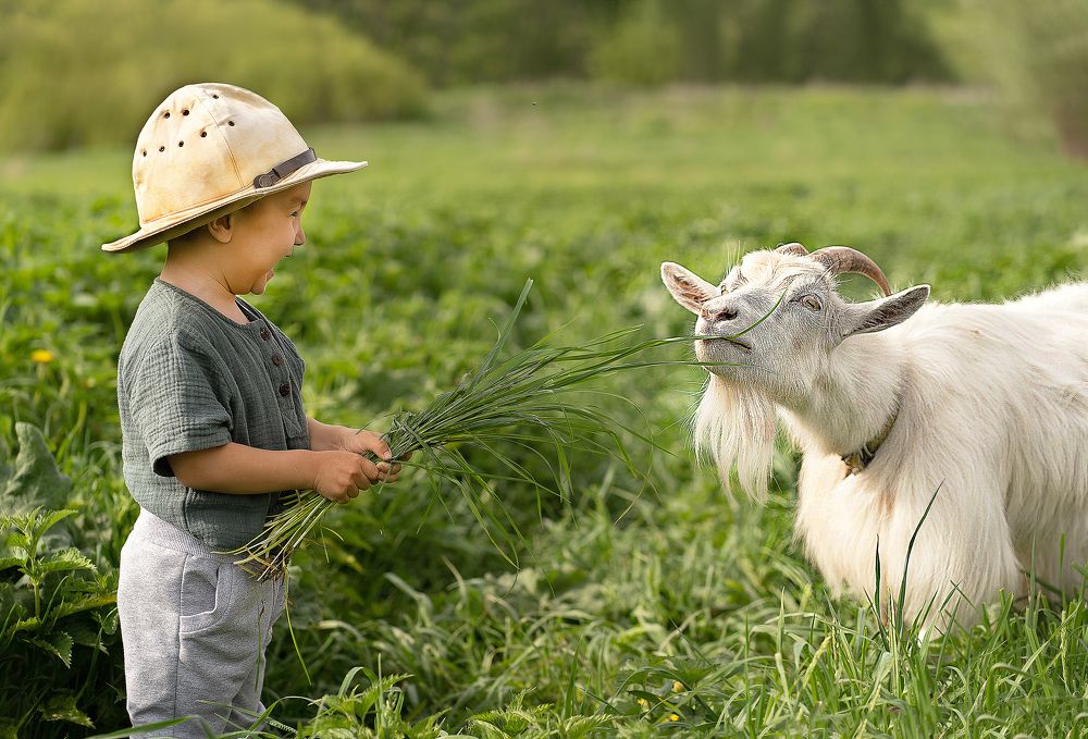Photograph by Лилия Васильева