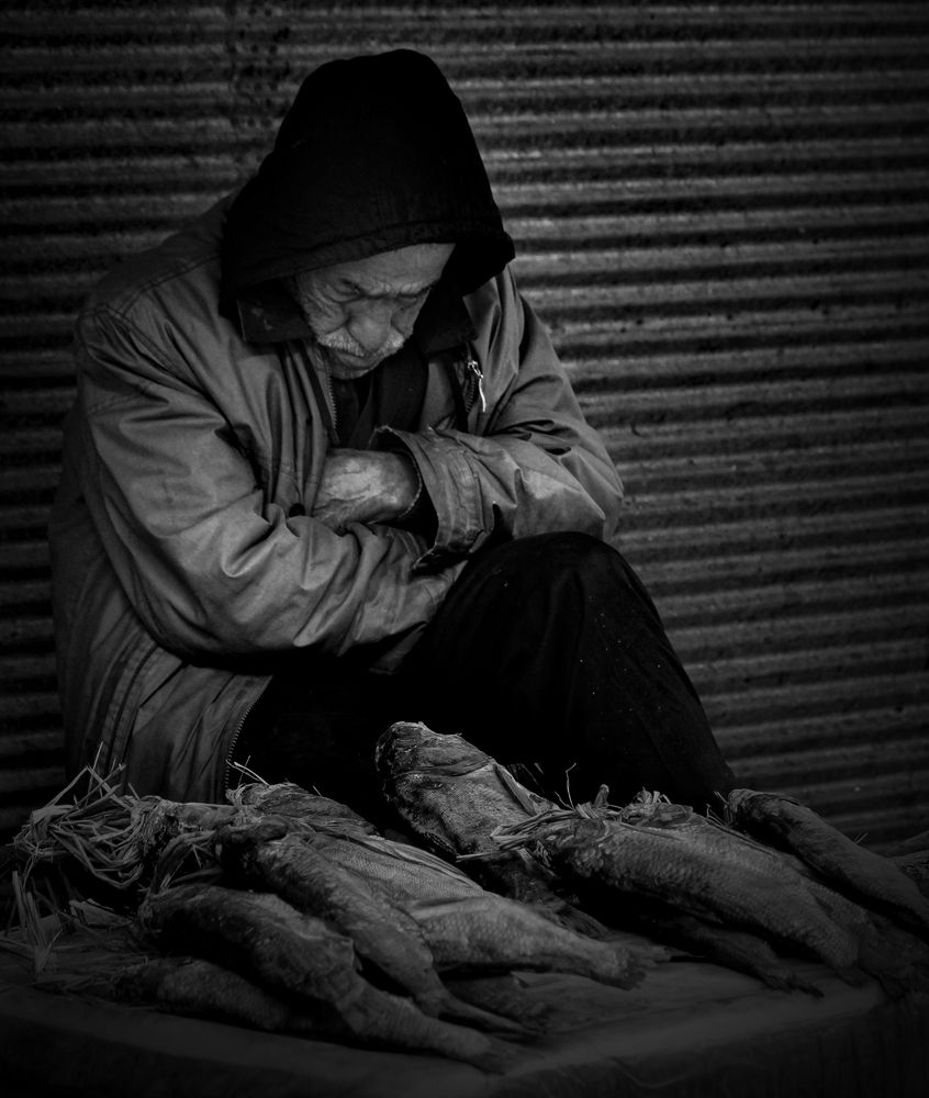 Photograph by hasan sorena jouri