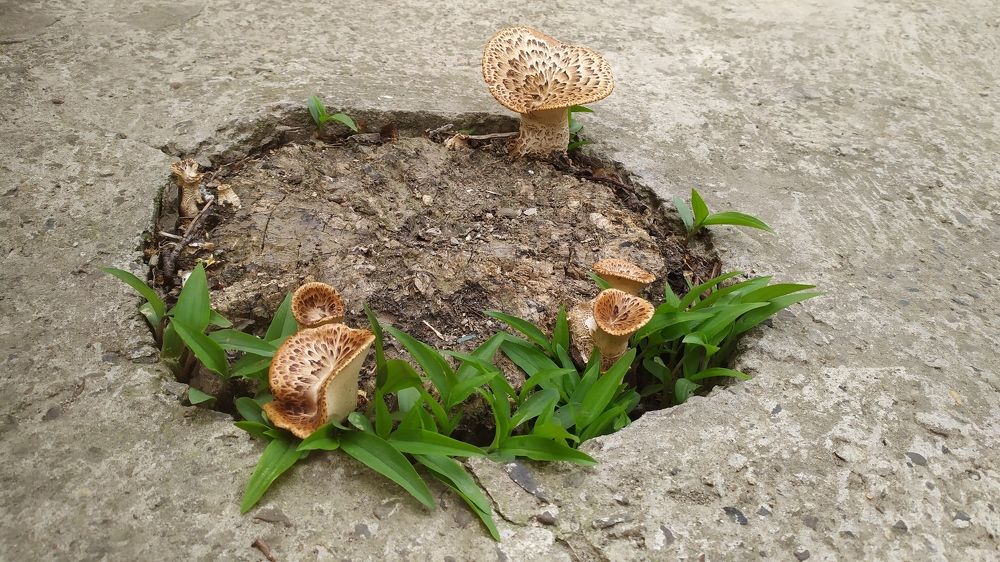 Photograph by Елена Смирнова